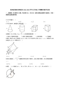 陕西省渭南市韩城市2021-2022学年九年级上学期期末数学试卷（word版 含答案）