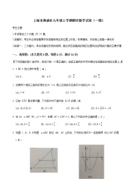 上海市黄浦区2021-2022学年九年级上学期期末考试数学试卷（Word版含答案）