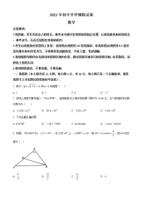 精品解析：2021年内蒙古包头市东河区中考二模数学试题（解析版+原卷版）