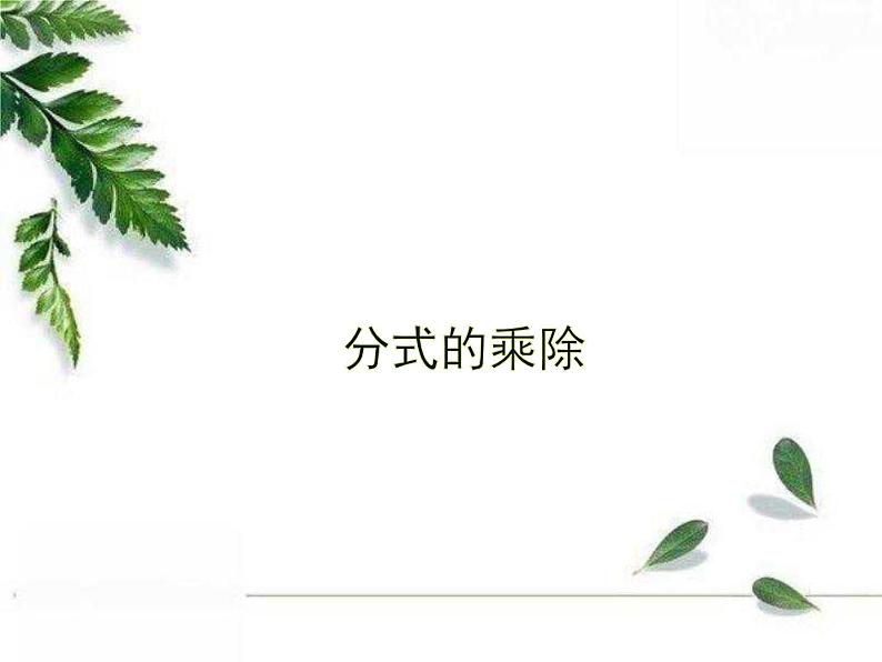 华师大版八年级下册《分式的乘除》教学课件第1页