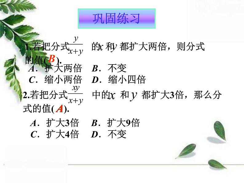 华师大版八年级下册《分式的基本性质》同步课件04