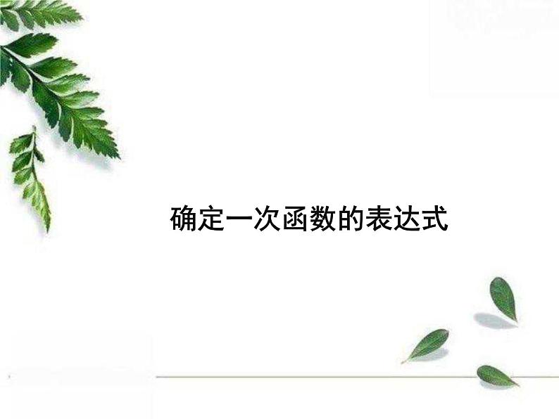 华师大版八年级下册《求一次函数的表达式》同步课件01