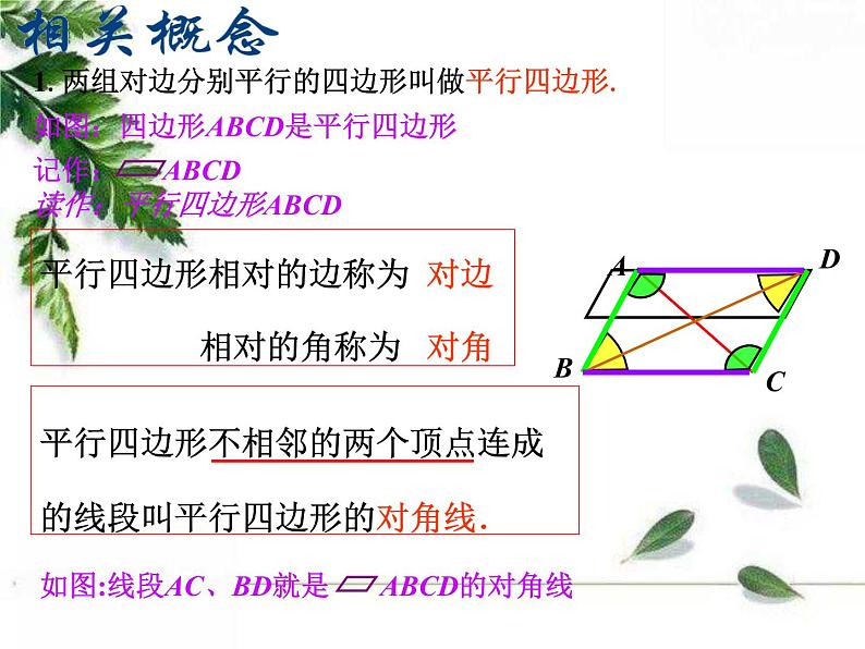 华师大版八年级下册《平行四边形的性质1》课件2第4页