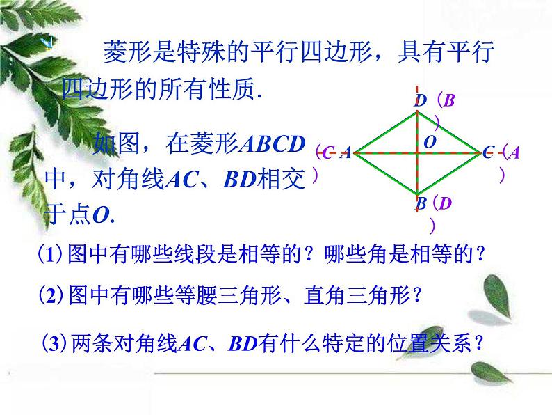 华师大版八年级下册 《菱形的性质》同步课件第5页