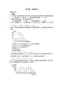 人教版七年级下册10.2 直方图课时练习