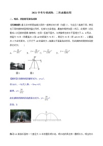 2022届中考数学专题复习训练——二次函数 专题3.2二次函数应用之建系问题学案