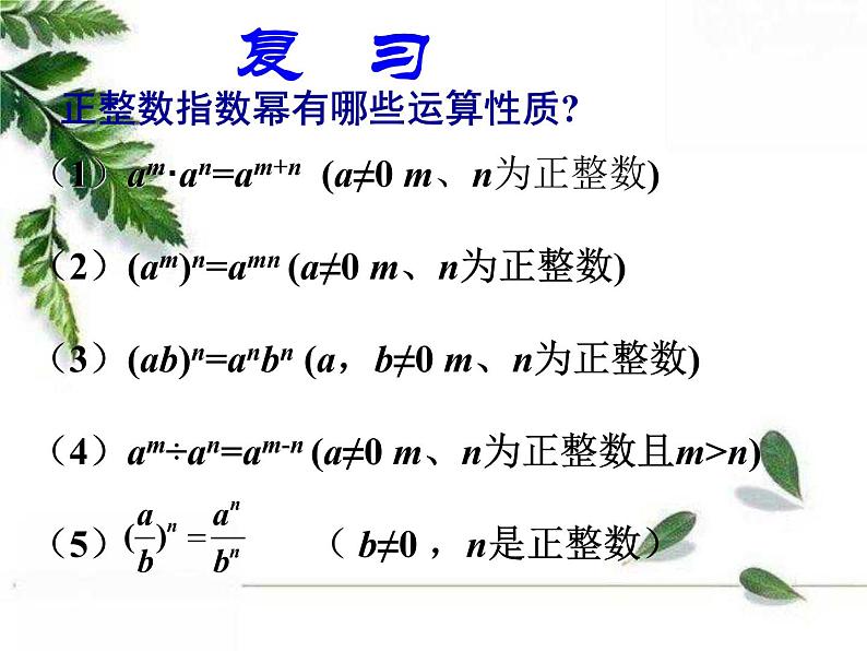 华师大版八年级下册 《零次幂和负整数指数幂》教学课件第2页