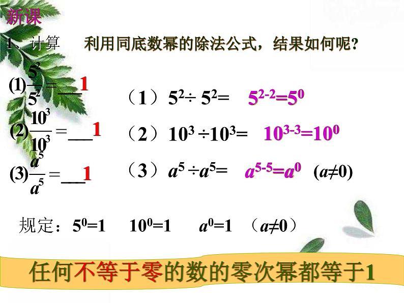 华师大版八年级下册 《零次幂和负整数指数幂》教学课件第3页