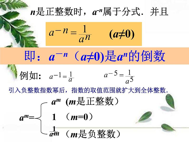 华师大版八年级下册 《零次幂和负整数指数幂》教学课件第5页