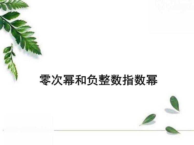 华师大版八年级下册《零次幂和负整数指数幂》同步课件01