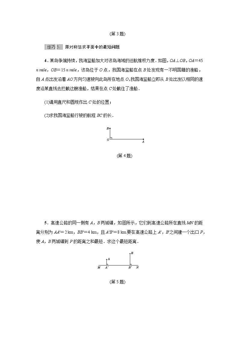 北师大版2021-2022学年八年级数学上册考点专项训练——巧用勾股定理求最短路径的长（附参考答案）03