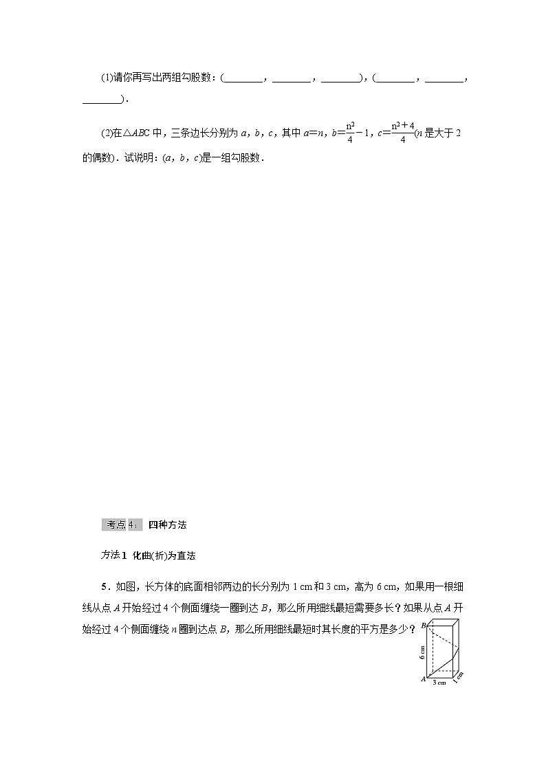 北师大版2021-2022学年八年级数学上册考点专项训练——《勾股定理》热门考点整合应用（附参考答案）第3页