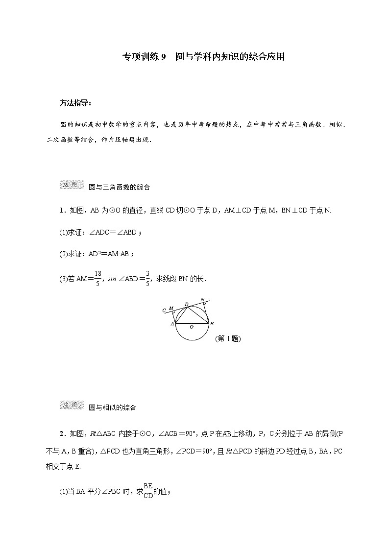 专项训练9 圆与学科内知识的综合应用第1页