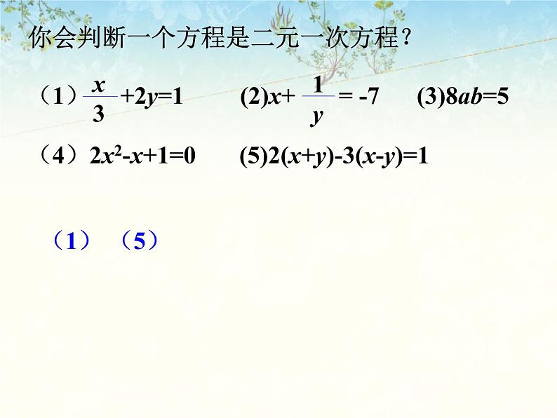 《二元一次方程组》课件1第4页