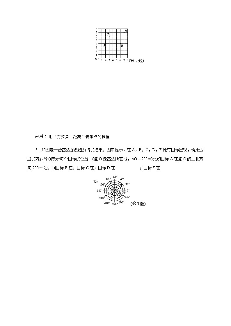 北师大版2021-2022学年八年级数学上册考点专项训练——《位置与坐标》热门考点整合应用（附参考答案）02