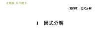 数学八年级下册1 因式分解习题ppt课件