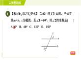 北师版七年级下册数学 第2章 2.3.1 平行线的性质 习题课件