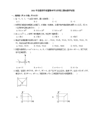 2021年安徽利辛县董集中学九年级上期末数学试卷