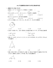 2021年安徽肥西县长镇中学九年级上期末数学试卷