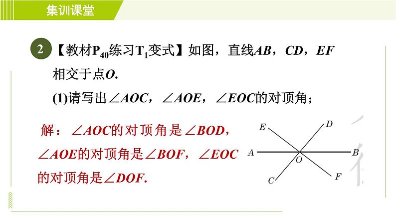 北师版七年级下册数学 第2章 集训课堂 练素养 识别相交线中的几种角 习题课件第4页