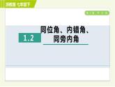 浙教版七年级下册数学 第1章 1.2同位角、内错角、同旁内角 习题课件