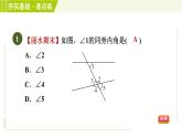 浙教版七年級下冊數學 第1章 1.2同位角、內錯角、同旁內角 習題課件