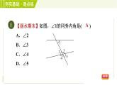 浙教版七年级下册数学 第1章 1.2同位角、内错角、同旁内角 习题课件