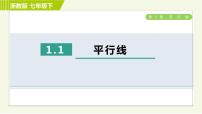 初中数学浙教版七年级下册1.1平行线习题课件ppt