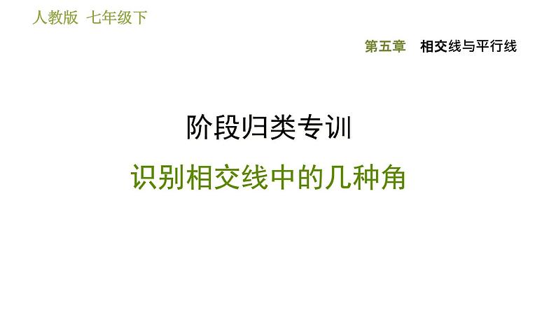 人教版七年级下册数学 第5章 阶段归类专训  识别相交线中的几种角 习题课件第1页