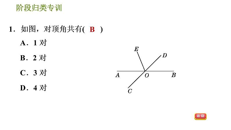 人教版七年级下册数学 第5章 阶段归类专训  识别相交线中的几种角 习题课件第3页