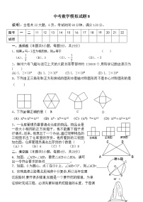 中考数学模拟试题8