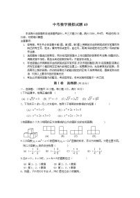 中考数学模拟试题与答案43