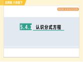 北师版八年级下册数学 第5章 5.4.1 认识分式方程 习题课件