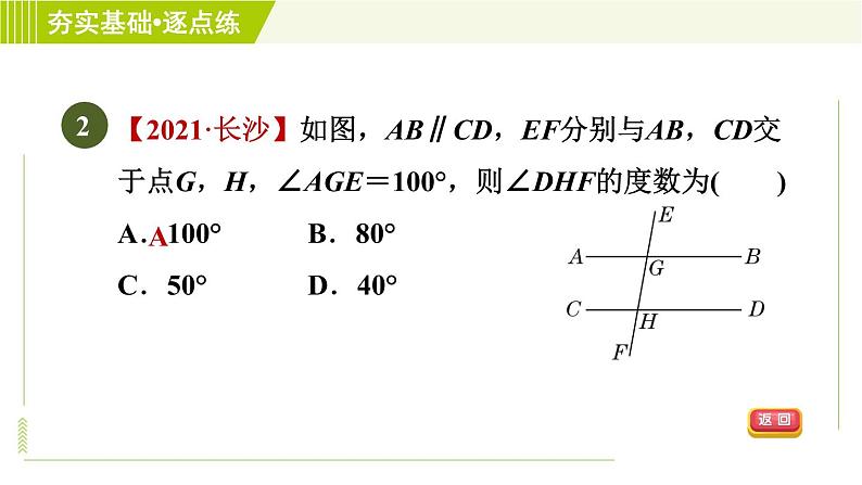 鲁教五四版六年级下册数学 第7章 7.3.1 平行线的性质 习题课件第5页