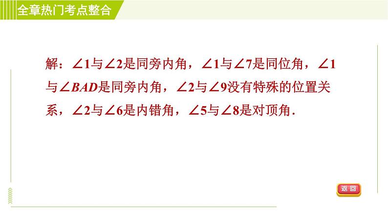 浙教版七年级下册数学 第1章 全章热门考点整合 习题课件07