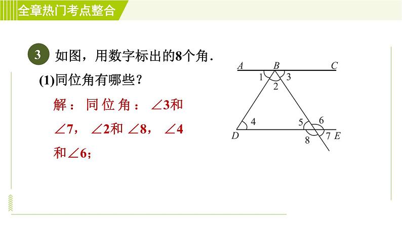 浙教版七年级下册数学 第1章 全章热门考点整合 习题课件08