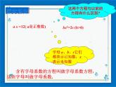 21.1 一元整式方程 课件（17张ppt）