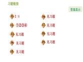 华师版八年级下册数学 期末提分练案 第7课时　特殊的平行四边形 习题课件