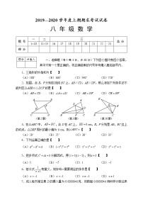 河南周口川汇区2019-2020学年上期期末统考试卷人教版八年级数学（试卷+答案）