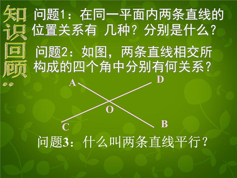 北师大初中数学七下《2.2探索直线平行的条件》PPT课件 (13)第2页