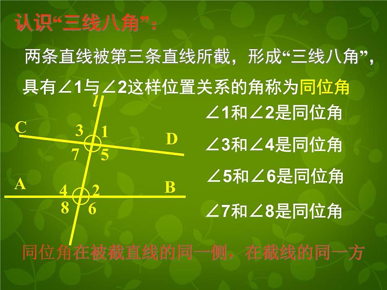 北师大初中数学七下《2.2探索直线平行的条件》PPT课件 (13)第8页