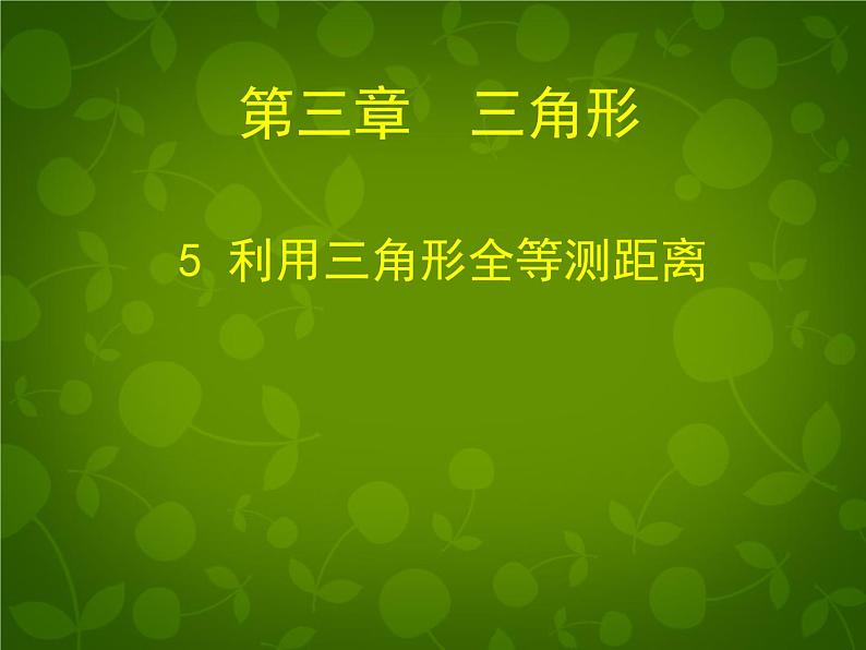 北师大初中数学七下《4.5利用三角形全等测距离》PPT课件 (9)第1页