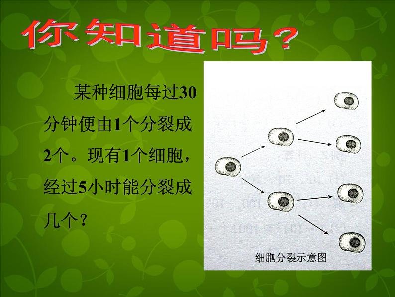 北师大初中数学七上《2.9 有理数的乘方》PPT课件 (7)第2页