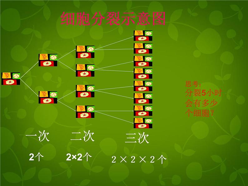 北师大初中数学七上《2.9 有理数的乘方》PPT课件 (7)第3页