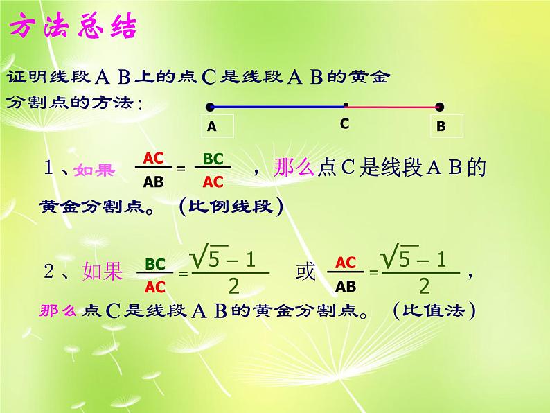 北师大初中数学九上《4.4 探索三角形相似的条件》PPT课件 (28)第4页