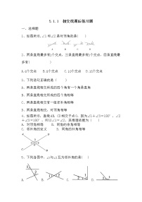 初中数学人教版七年级下册5.1.1 相交线习题