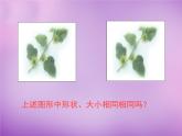 八年级数学上册1.4+全等三角形课件