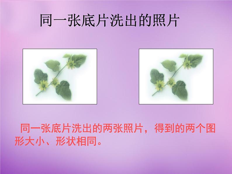 八年级数学上册1.4+全等三角形课件第7页