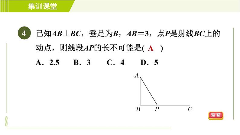 冀教版七年级下册数学 第7章 7.2 集训课堂   测素质  命题与相交线 习题课件07