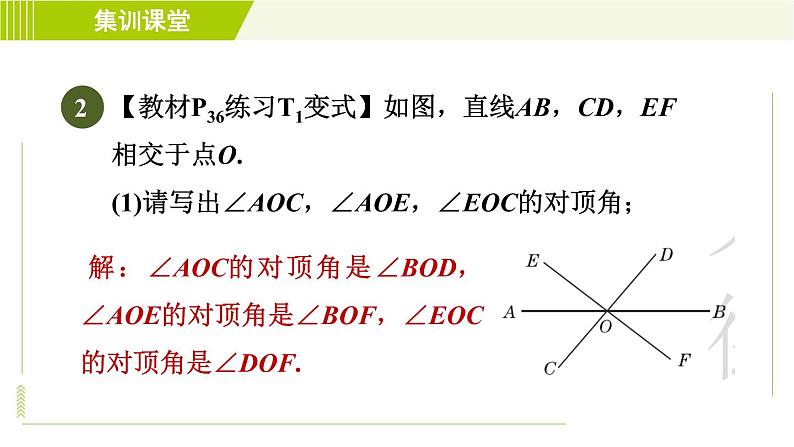 冀教版七年级下册数学 第7章 7.2 集训课堂   练素养  识别相交线中的几种角 习题课件04